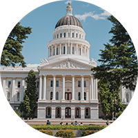 Government Circle Icon 1